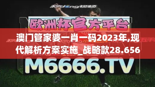 澳门管家婆一肖一码2023年,现代解析方案实施_战略款28.656