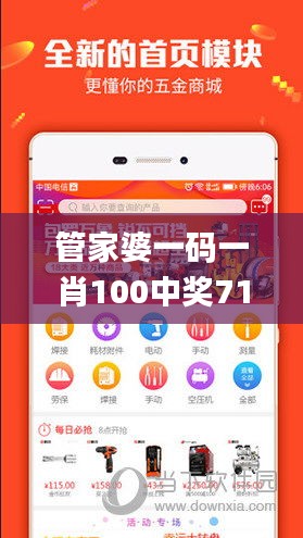 管家婆一码一肖100中奖71期,诠释评估说明_言情款23.930