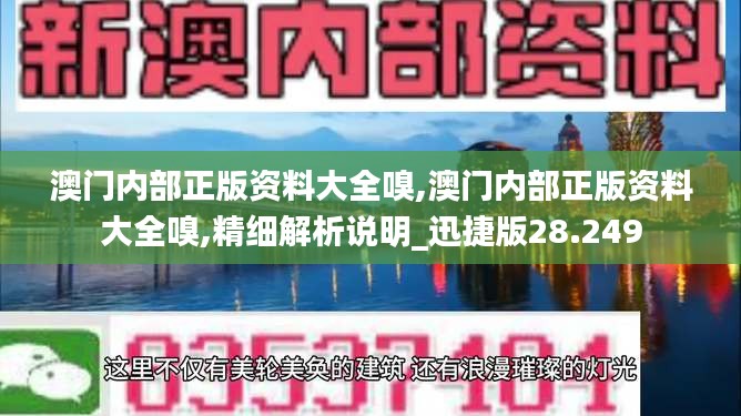 澳门内部正版资料大全嗅,澳门内部正版资料大全嗅,精细解析说明_迅捷版28.249