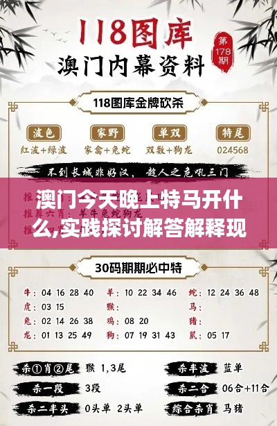 澳门今天晚上特马开什么,实践探讨解答解释现象_说明品42.132