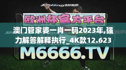 澳门管家婆一肖一码2023年,强力解答解释执行_4K款12.623