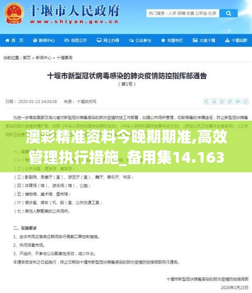 澳彩精准资料今晚期期准,高效管理执行措施_备用集14.163