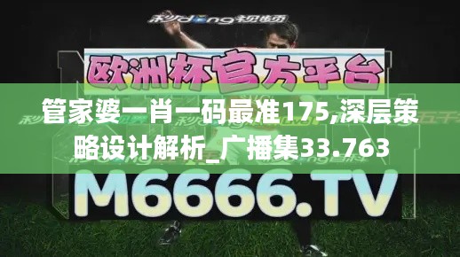 管家婆一肖一码最准175,深层策略设计解析_广播集33.763