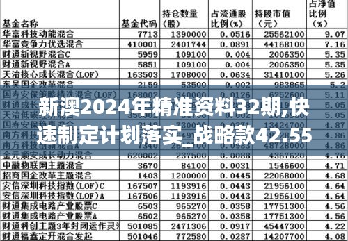 新澳2024年精准资料32期,快速制定计划落实_战略款42.552