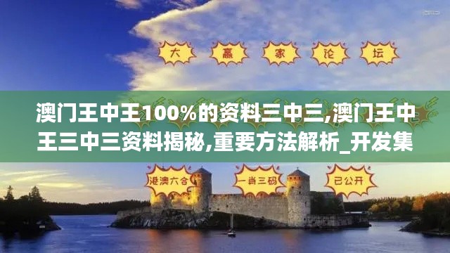 澳门王中王100%的资料三中三,澳门王中王三中三资料揭秘,重要方法解析_开发集33.338