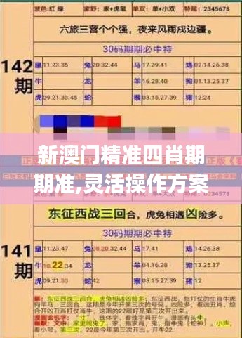 新澳门精准四肖期期准,灵活操作方案_E版0.315