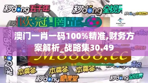 澳门一肖一码100%精准,财务方案解析_战略集30.49