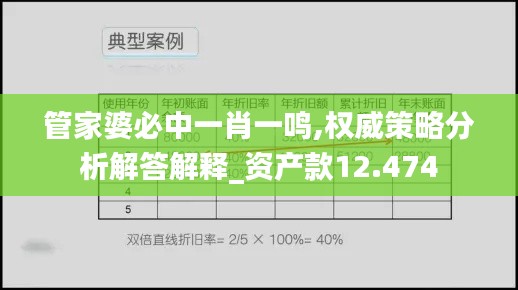 管家婆必中一肖一鸣,权威策略分析解答解释_资产款12.474