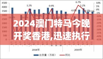 2024澳门特马今晚开奖香港,迅速执行设计方案_FHD型19.779