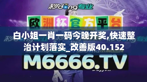 白小姐一肖一码今晚开奖,快速整治计划落实_改善版40.152