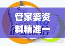 管家婆资料精准一句真言,精细化方案实施_休闲款43.602