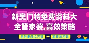 新奥门特免费资料大全管家婆,高效策略方案设计_MR90.296