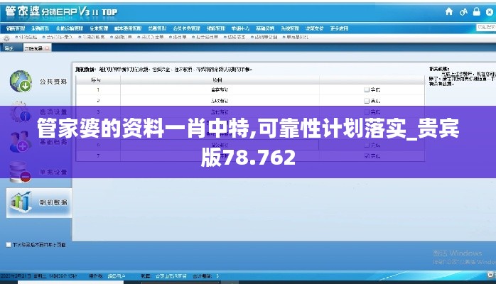 管家婆的资料一肖中特,可靠性计划落实_贵宾版78.762