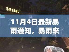 暴雨突袭之际，小巷深处的独特风味——记隐藏版特色小店的奇遇