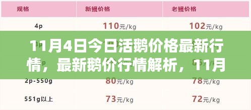 最新解析，11月4日活鹅价格行情深度探讨与最新鹅价动态