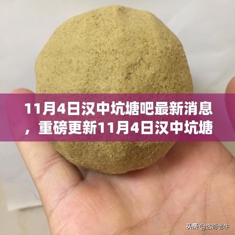 揭秘汉中坑塘吧最新动态，11月4日重磅更新消息