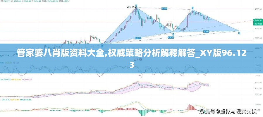 管家婆八肖版资料大全,权威策略分析解释解答_XY版96.123