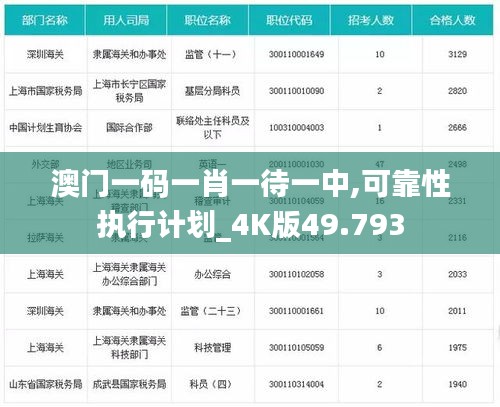 澳门一码一肖一待一中,可靠性执行计划_4K版49.793