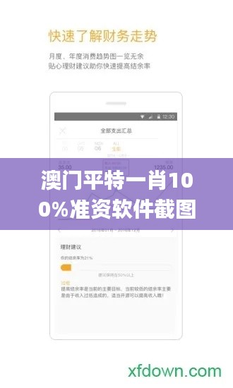 澳门平特一肖100%准资软件截图,高效管理策略落实_簡便版93.681