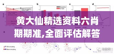 黄大仙精选资料六肖期期准,全面评估解答解释计划_交流版12.879