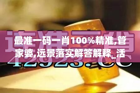 最准一码一肖100%精准,管家婆,远景落实解答解释_活泼版78.520