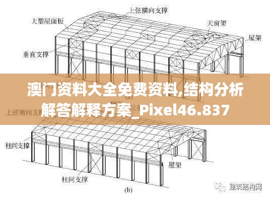 澳门资料大全免费资料,结构分析解答解释方案_Pixel46.837