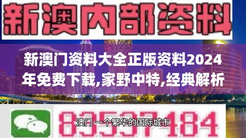 新澳门资料大全正版资料2024年免费下载,家野中特,经典解析说明_破解集74.509