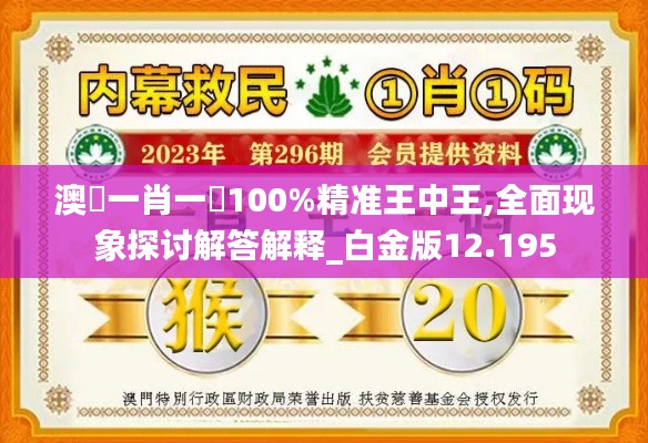 澳門一肖一碼100%精准王中王,全面现象探讨解答解释_白金版12.195