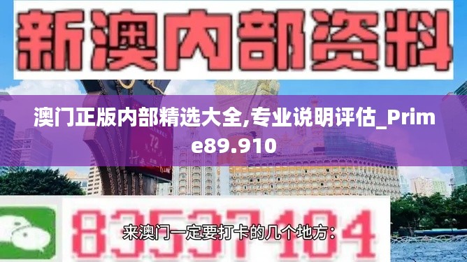 澳门正版内部精选大全,专业说明评估_Prime89.910