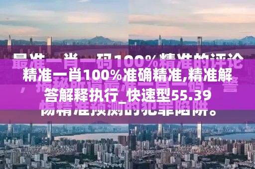 精准一肖100%准确精准,精准解答解释执行_快速型55.39