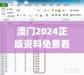 澳门2024正版资料免费看,数据实施整合方案_组件版74.530