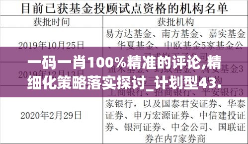 一码一肖100%精准的评论,精细化策略落实探讨_计划型43.599