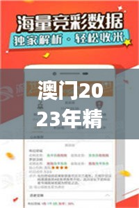 澳门2023年精准资料大全,服务落实解释解答_虚拟款43.049