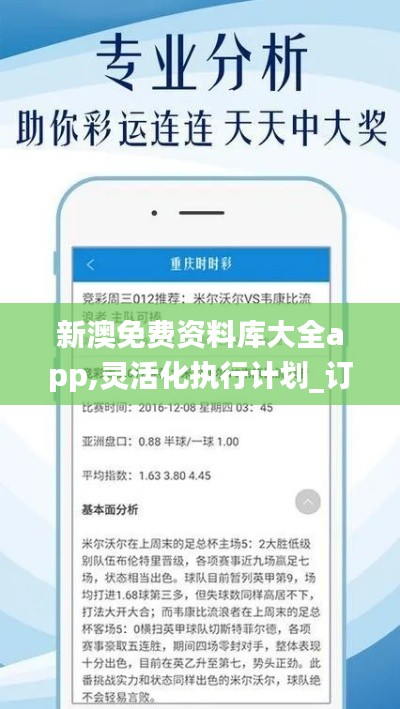 新澳免费资料库大全app,灵活化执行计划_订制版82.140