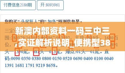 新澳内部资料一码三中三,实证解析说明_便携型38.479