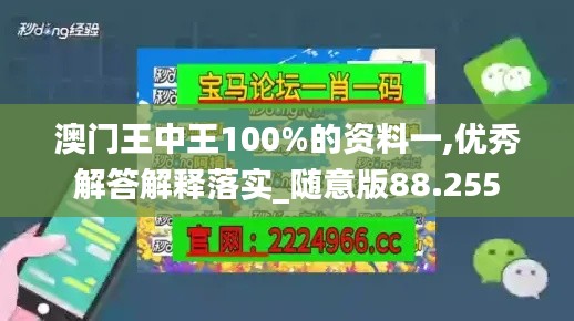 澳门王中王100%的资料一,优秀解答解释落实_随意版88.255