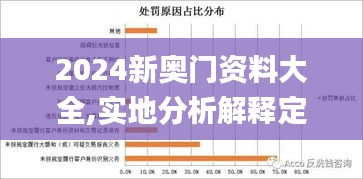 2024新奥门资料大全,实地分析解释定义_智能版62.173