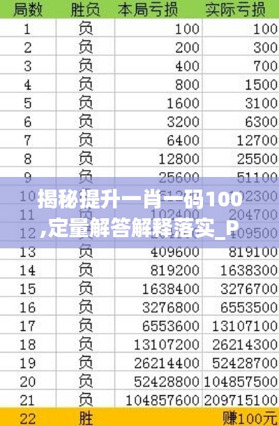 揭秘提升一肖一码100,定量解答解释落实_PT80.787