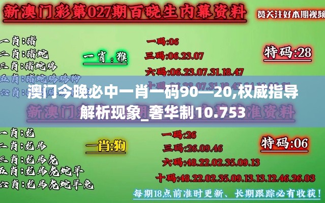 澳门今晚必中一肖一码90—20,权威指导解析现象_奢华制10.753