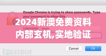 2024新澳免费资料内部玄机,实地验证数据实施_macOS23.706