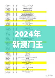 2024年新澳门王中王开奖结果,辨识解答解释落实_限量款9.313