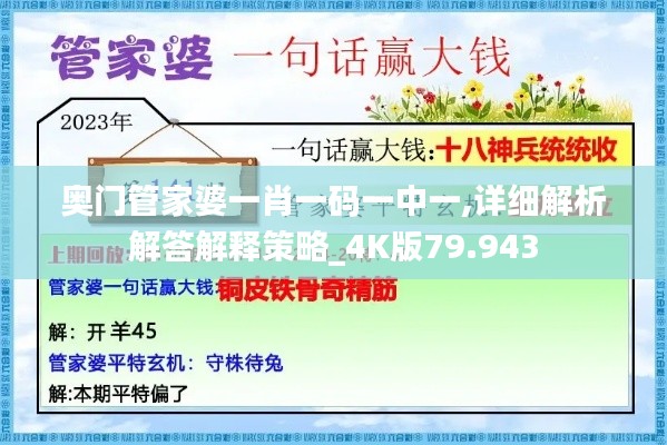 奥门管家婆一肖一码一中一,详细解析解答解释策略_4K版79.943