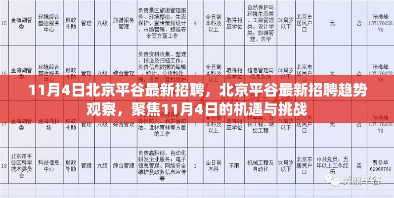 北京平谷最新招聘动态及趋势观察，11月4日的机遇与挑战聚焦