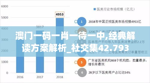 澳门一码一肖一待一中,经典解读方案解析_社交集42.793