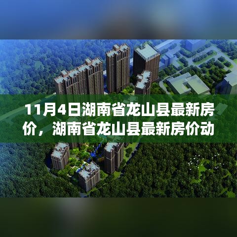 湖南省龙山县最新房价动态深度解析与探讨，11月4日房价更新