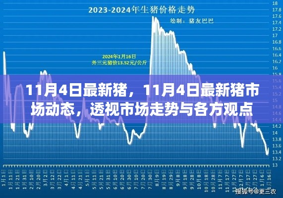 11月4日最新猪市场动态深度解析，市场走势与多方观点透视