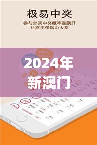 2024年新澳门王中王开奖结果,成长解答解释落实_私密款76.182