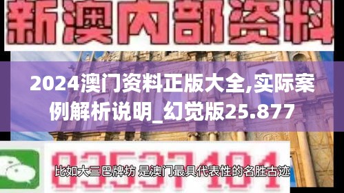 2024澳门资料正版大全,实际案例解析说明_幻觉版25.877