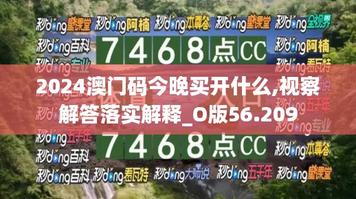 2024澳门码今晚买开什么,视察解答落实解释_O版56.209