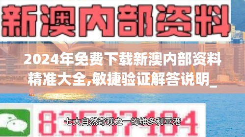 2024年免费下载新澳内部资料精准大全,敏捷验证解答说明_长途版7.363